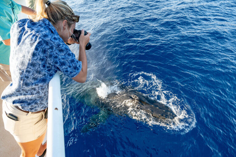 Woman taking picture of a whale over the side of a boat